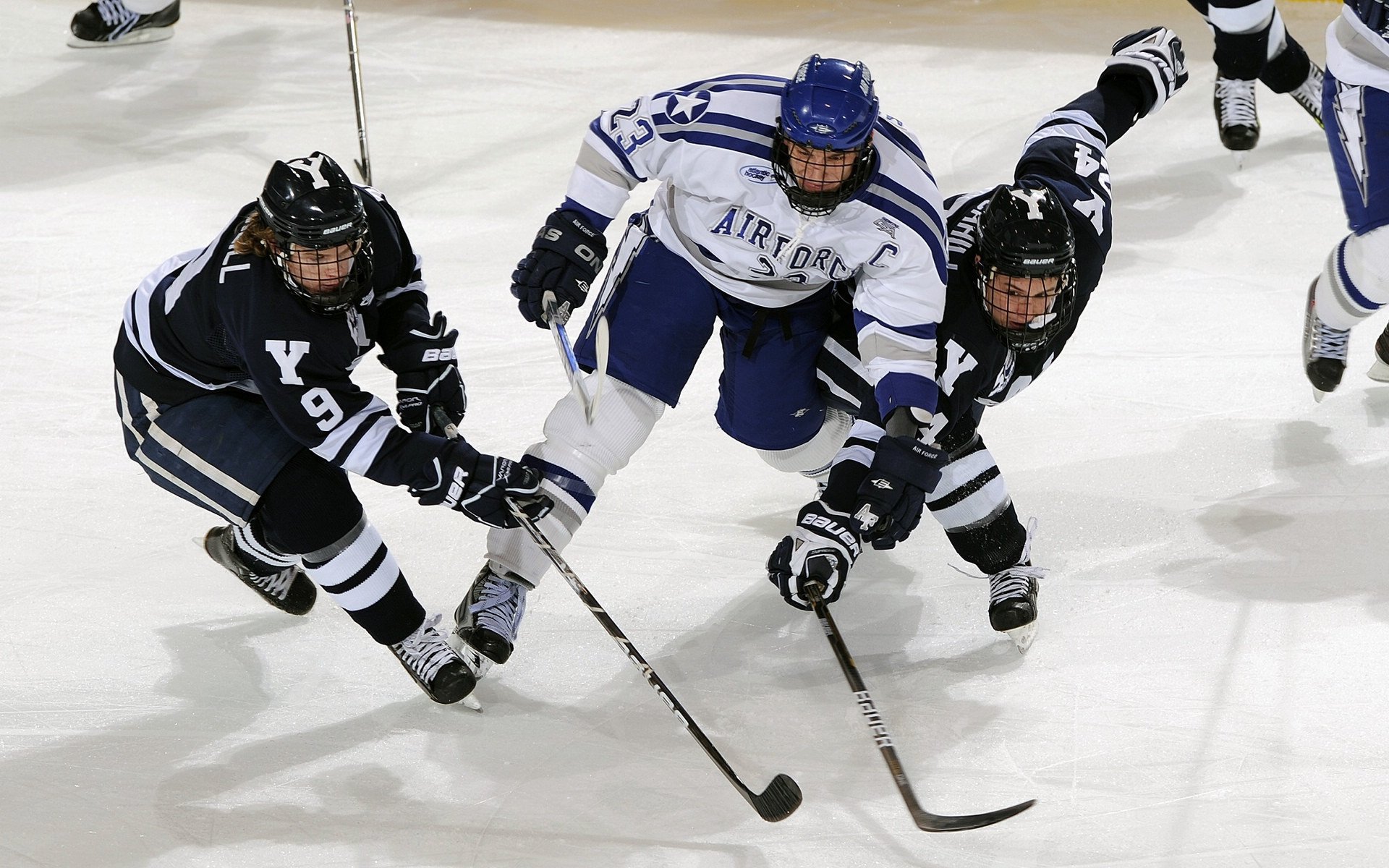 乐鱼体育在线-公牛队奋勇前行,冲击更高目标,公牛队崛起